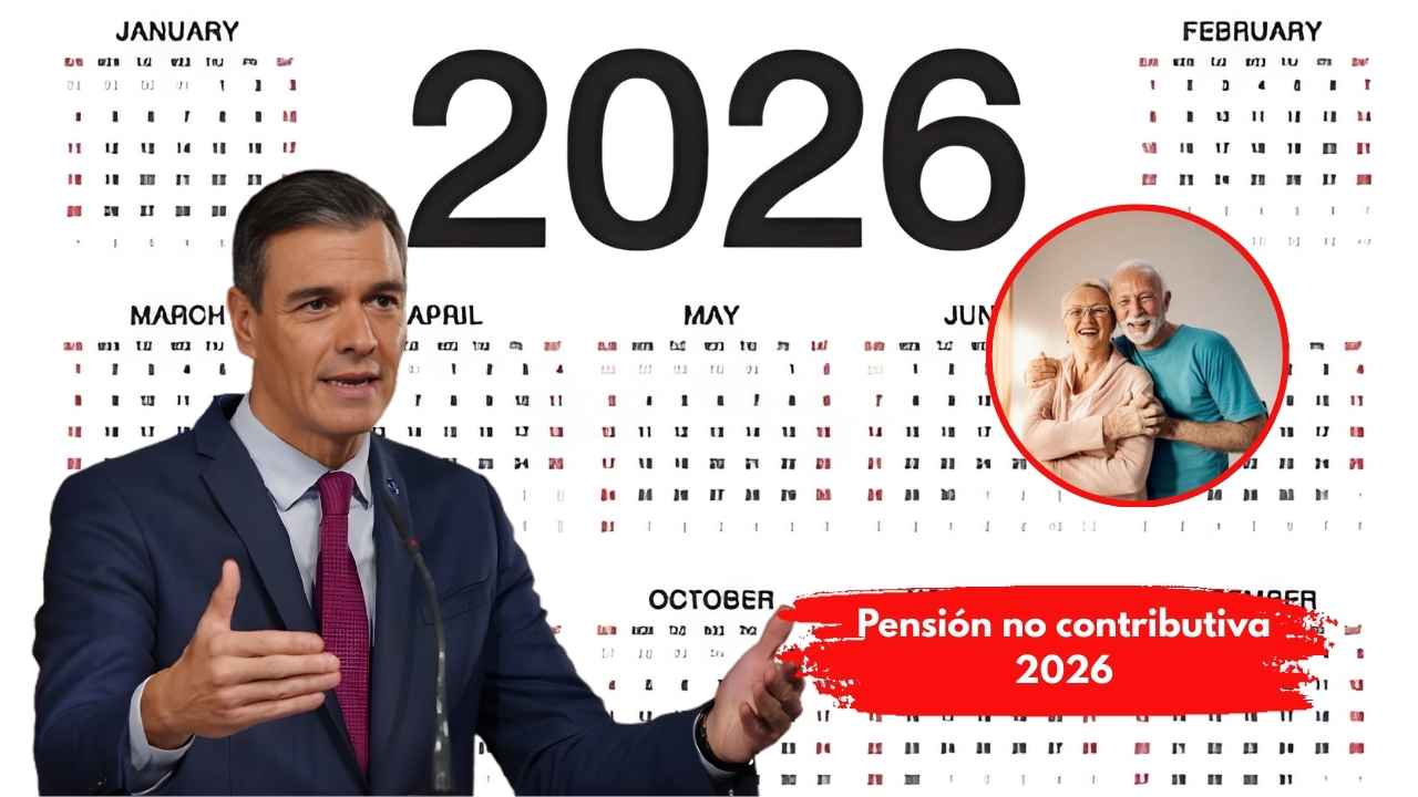 Pensión no contributiva 2026: nuevos montos de 550€, requisitos, beneficiarios y fecha de pago